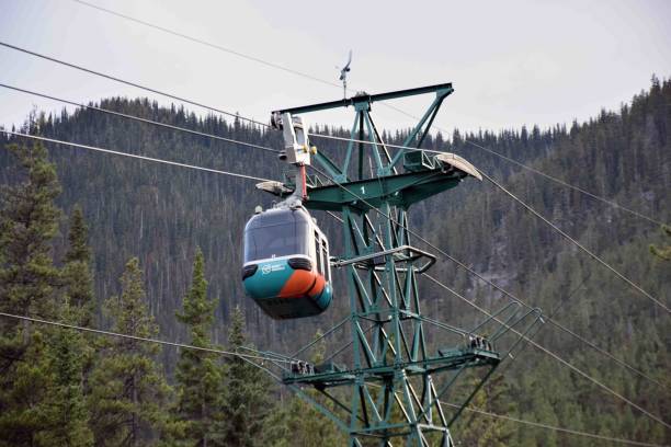 banff gondola, banff, alberta, kanada, drzewo, góry skaliste sceneria - banff gondola zdjęcia i obrazy z banku zdjęć