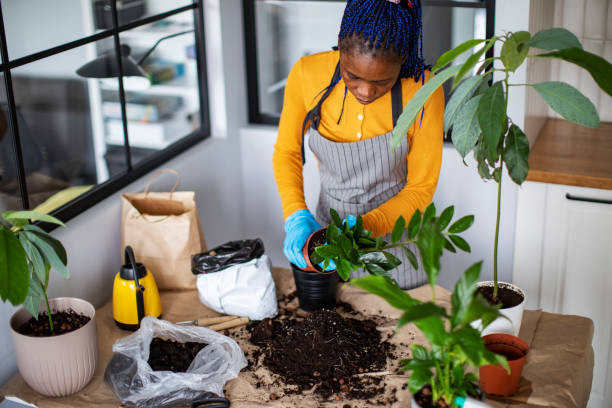 Young African woman potting flowers at home