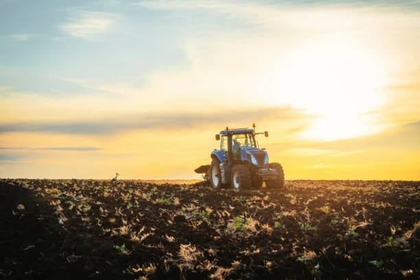 istock Farmer in tractor preparing land with seedbed cultivator 1392971639