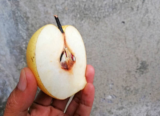 istock Hands holding a slice of pear fruit 1392974124