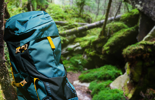 Photo of large hiking and camping blue backpack laying in summer green woods.