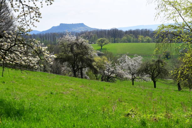 istock Beautiful landscape in Franconia at spring 1392983935