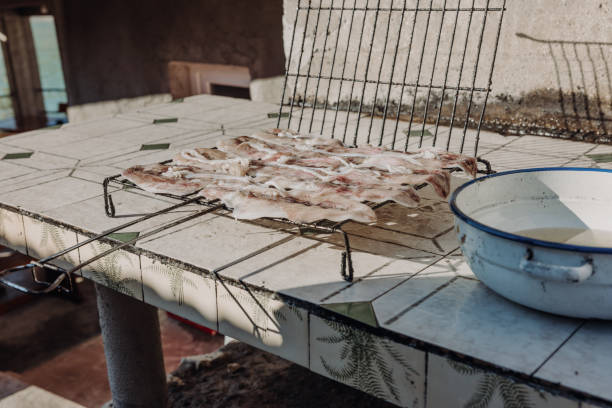 Fish, freshly caught at the harbor, cut and prepared, lying down  on a black metal grid next to a large white pot on a table in the sun