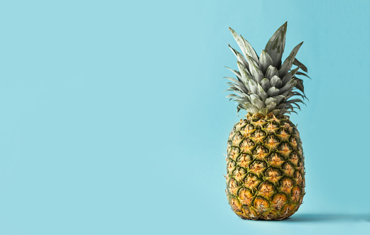 Whole pineapple on the blue background with free space. Summertime background with tropic feel