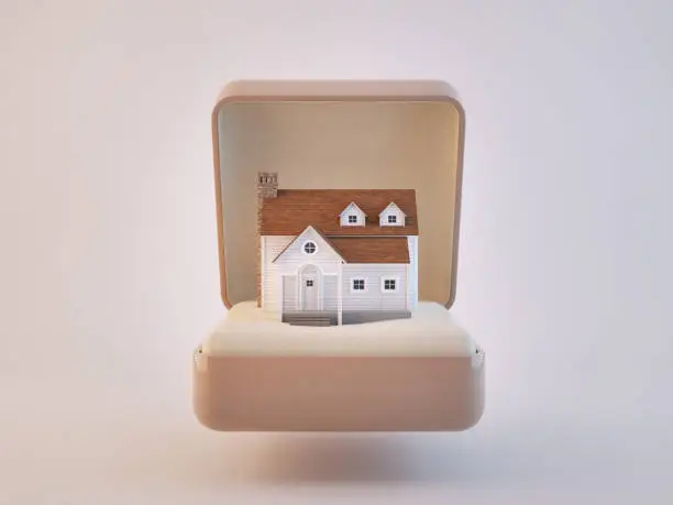 House inside ringbox.3d rendering