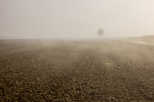 Fog over freshly agricultural plowed field for planting in countryside against sky