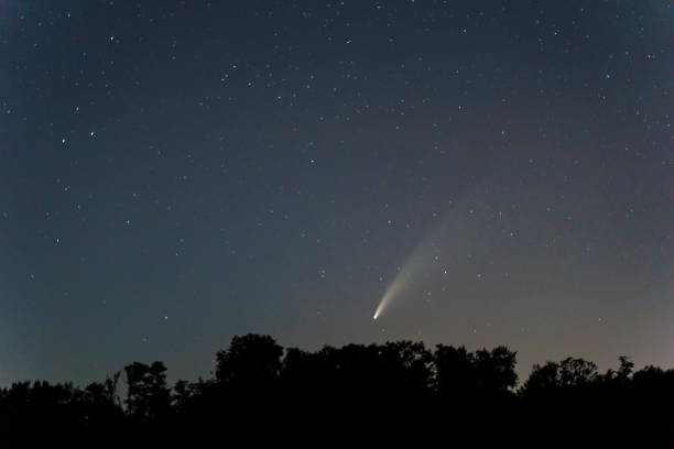 istock Night scene with meteorite trail in starry sky over trees 1392993821