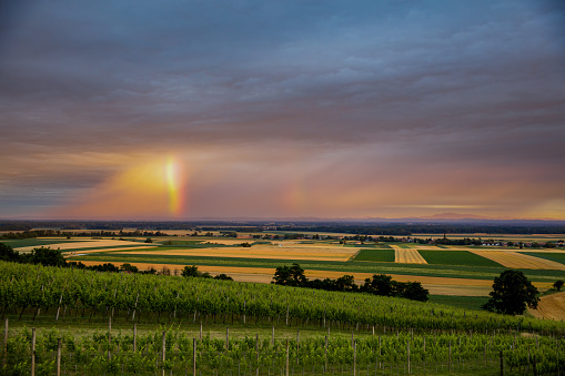 Beautiful vineyards scenery and countryside landscape under storm clouds with rainbow