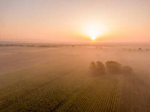 Beautiful view of fog over agricultural field in rural landscape during sunrise