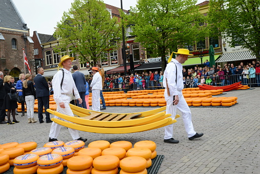 Traditional cheese market in Alkmaar Holland in the Netherlands