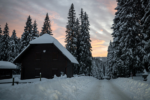 Wooden house by fir trees on snow covered land against sky during sunset