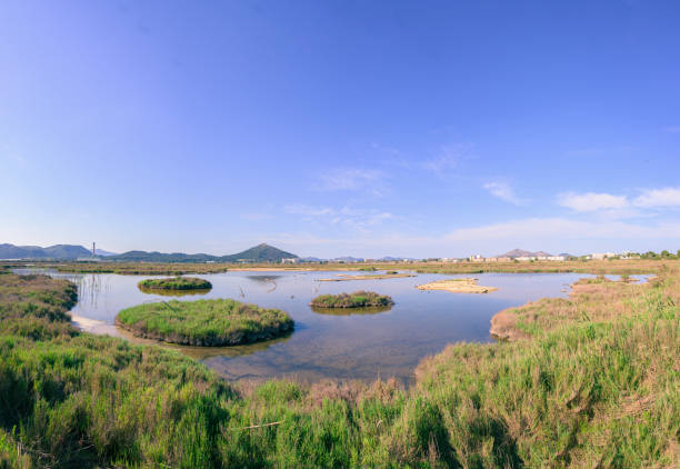 istock Ecological wetland environment at sunset 1392997872