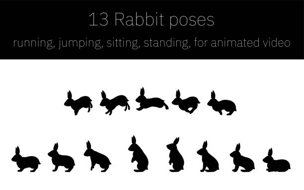 애니메이션, 달리기 및 점프 및 일어서기를위한 토끼 움직임, 실루엣 - hare stock illustrations