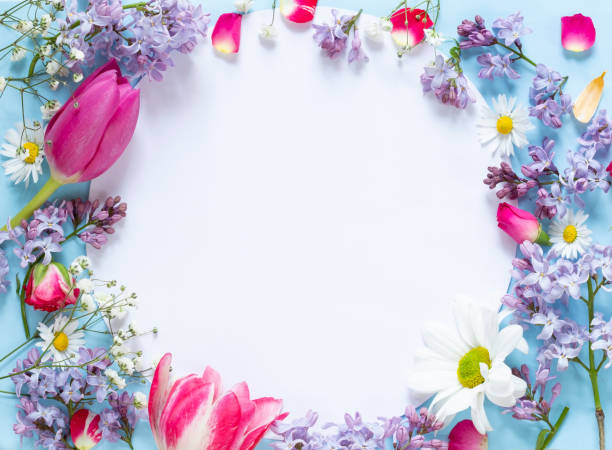 Floral frame stock photo