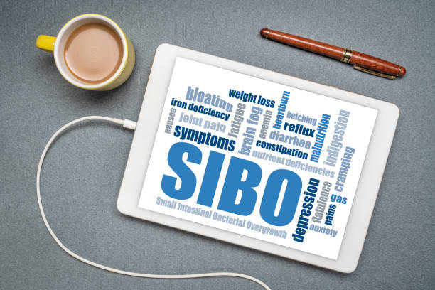 SIBO (small intestinal bacterial overgrowth) symptoms SIBO (small intestinal bacterial overgrowth) symptoms - word cloud on a digital tablet, flat lay with a cup of coffee, gut health concept small intestine stock pictures, royalty-free photos & images