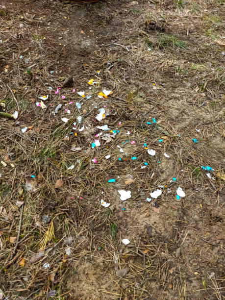 istock Nature, Colorful eggshells lie in the forest 1393002988