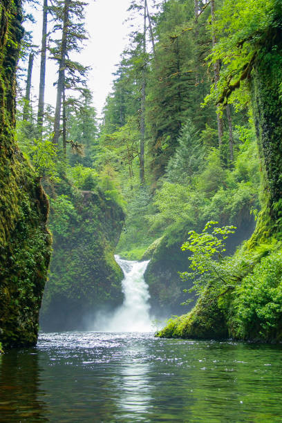 istock Punchbowl Falls on Eagle Creek in the Columbia River Gorge, Oregon 1393008064