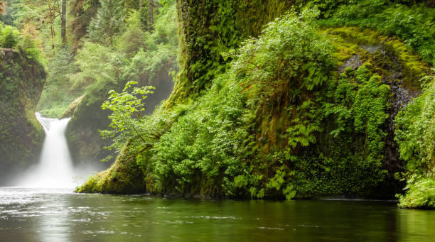 istock Punchbowl Falls on Eagle Creek in the Columbia River Gorge, Oregon 1393008081