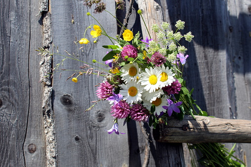 Bouquet of wild flowers on the background of a wooden panel.