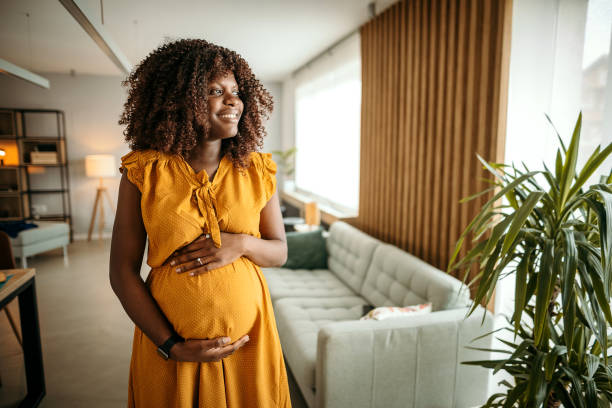 Beautiful woman in pregnant at home Portrait of young happy pregnant woman standing pregnant woman standing and holding belly stock pictures, royalty-free photos & images