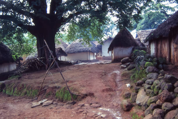 Orissa, Odisha, India - aug 23, 1996:   view of the simple mud and thatch houses of a Khond tribal village in the hills of Orissa in eastern India.   Photo from historical archive slide.