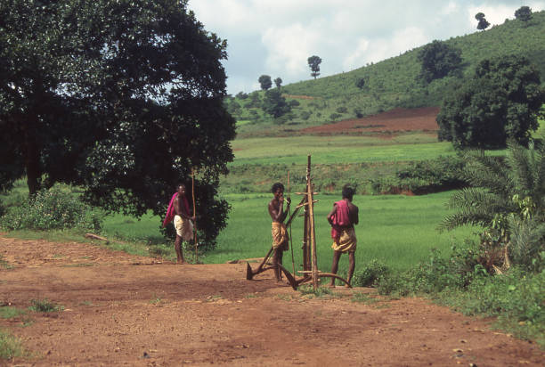 Orissa, Odisha, India - aug 23, 1996:   a group of men with an ancestral wooden plow at the edge of a cultivated field in Orissa  Photo from historical archive slide.