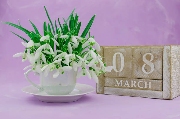 istock Snowdrops flowers in springtime, floral spring background 1393024421