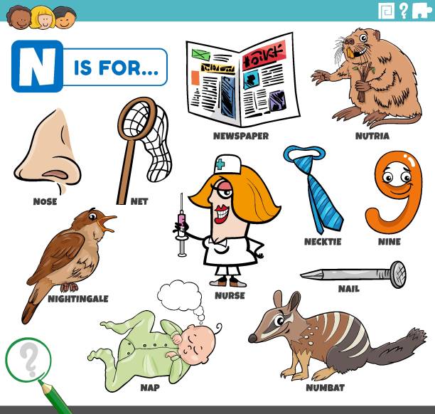 letter n words educational set with cartoon characters educational cartoon illustration for children with comic characters and objects set for letter N nutria rodent animal alphabet stock illustrations