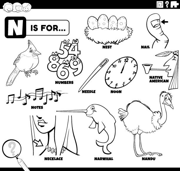 Letter N Words Educational Set Coloring Book Page Stock Illustration -  Download Image Now - Alphabet, Animal, Animal Nest - iStock