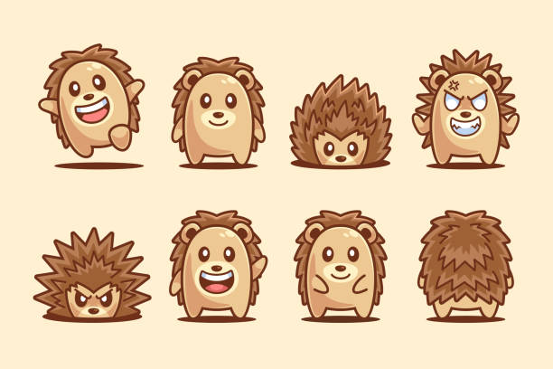 Collection of Hedgehog Cartoon Character Collection of cute Hedgehog Cartoon Character in various pose hedgehog stock illustrations