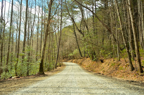 Georgia Road In Early Spring stock photo