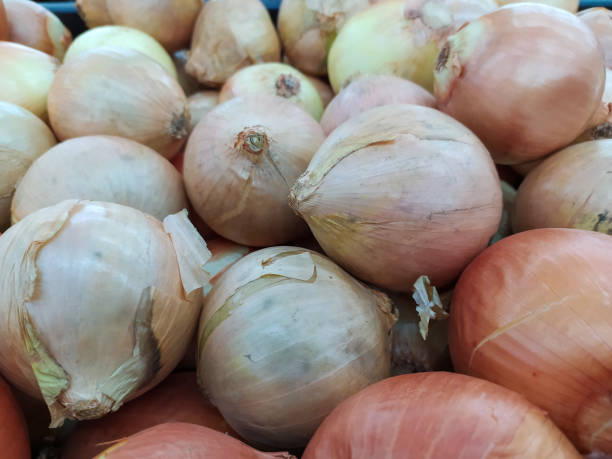 istock onions in the market 1393028730