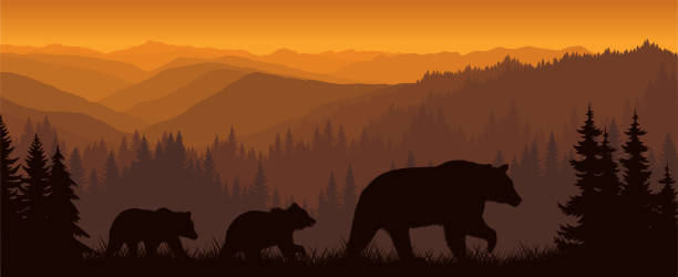 illustrazioni stock, clip art, cartoni animati e icone di tendenza di mattina vettoriale in montagna con la famiglia di orsi - bear hunting
