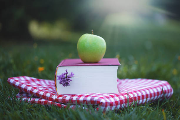 reading a book in a public park in the sun