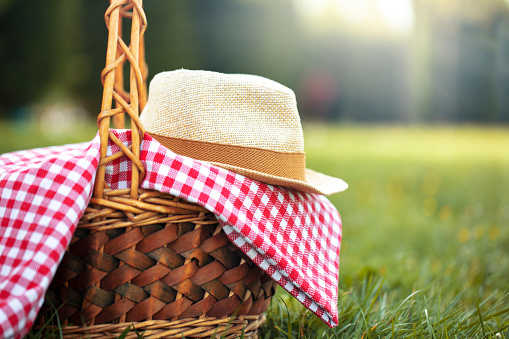 picnic basket on the grass