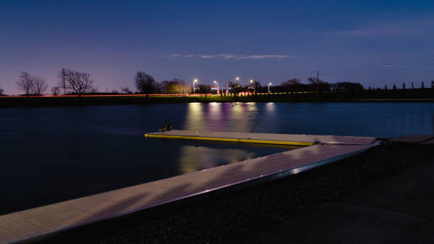 istock Colorful Lights Reflect as Geese Watch 1393030202