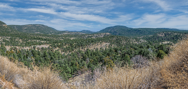 The Apache National Forest and the Sitgreaves National Forest encompass over two million acres of Arizona and western New Mexico.  They are administered as one national forest.  The Sitgreaves National Forest was named for Captain Lorenzo Sitgreaves, a topographical engineer who conducted the first government expedition across Arizona in the early 1850’s. The Apache National Forest was named for the native tribes that lived in the area.  This view of Heifer Basin was photographed from the Highway 180 scenic overlook north of Rancho Grande Estates, New Mexico, USA.