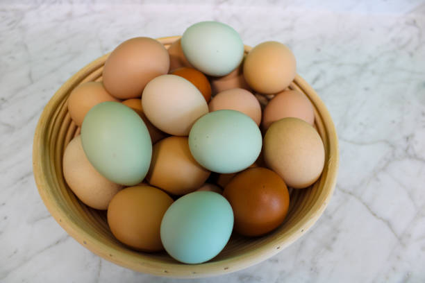 istock a colorful selection of eggs in a basket 1393034203