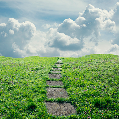 Meadow path with flowers and sky.