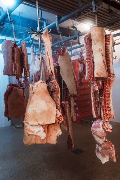 istock Meat hanging from hooks in the cold room 1393041548