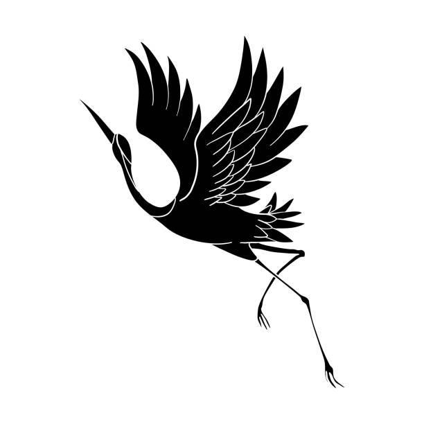 sylwetka latającego żurawia na białym tle. - egret stock illustrations