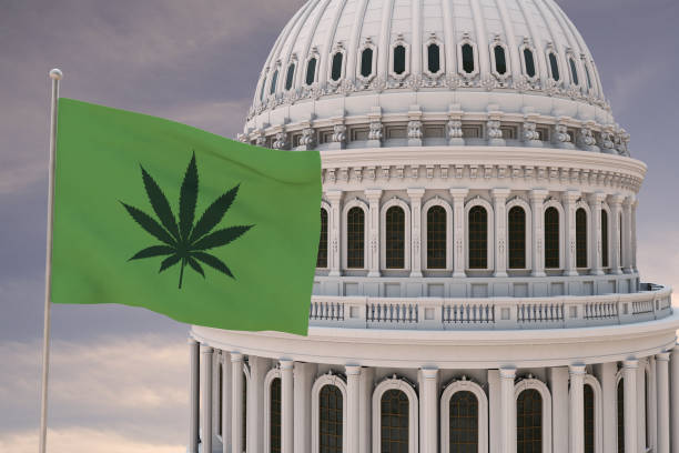 hermosa bandera de canabis, marihuana, marihuana, marihuana, olla ondeando con el fuerte viento y detrás de ella la cúpula del capitolio ee.uu. estados unidos de américa 3d render, 3d rendering. - state representatives fotografías e imágenes de stock