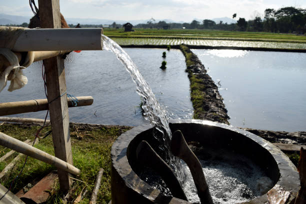 istock Irrigating rice fields belonging to farmers 1393045171