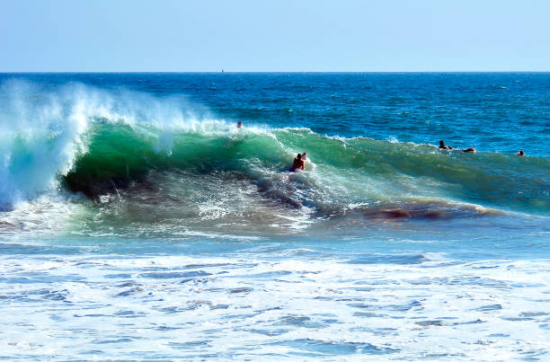 istock Surfers paddling over a breaking wave 1393048718
