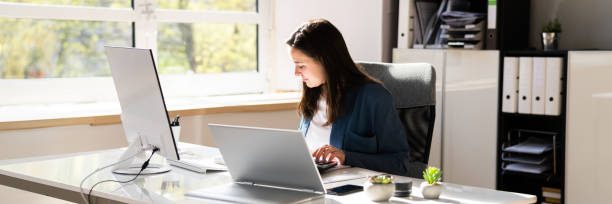 istock Disabled Accountant In Wheelchair Working 1393066706