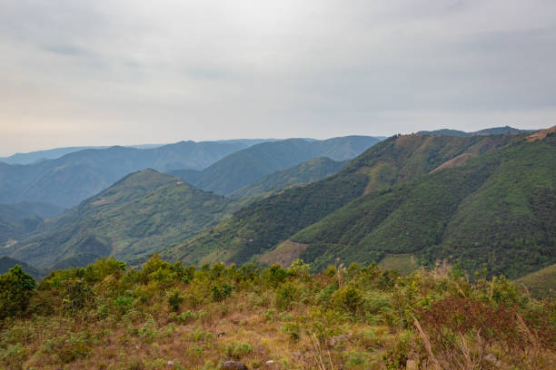 istock mountain valley covered with forest and white mists at morning from flat angle 1393076967