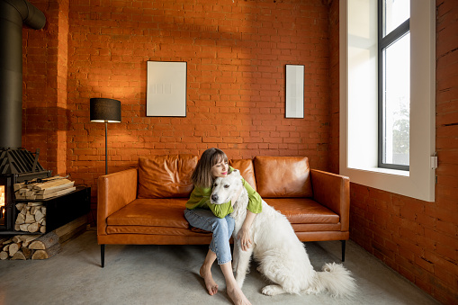Young woman hugs with her white adorable dog, while sitting together on a couch at home. Concept of friendship with pets and home coziness
