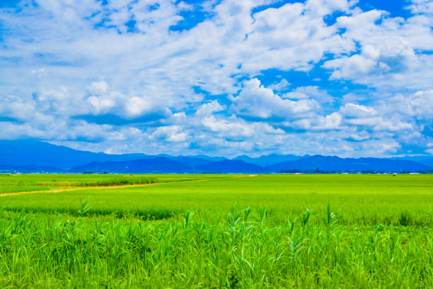 Rural landscape in Akita Prefecture. Shooting Location: Akita