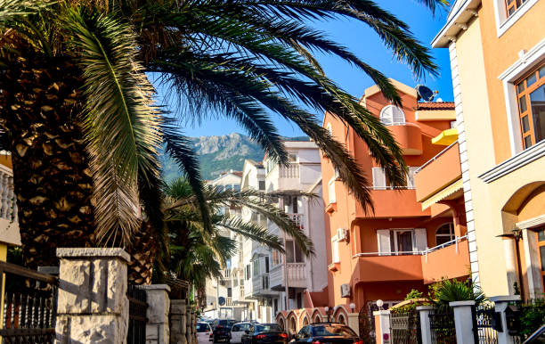 Street with palm trees in Budva, Montenegro Street with palm trees in Budva, Montenegro. budva stock pictures, royalty-free photos & images