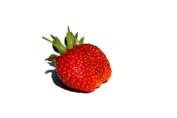 Red juicy strawberry lies on a white background